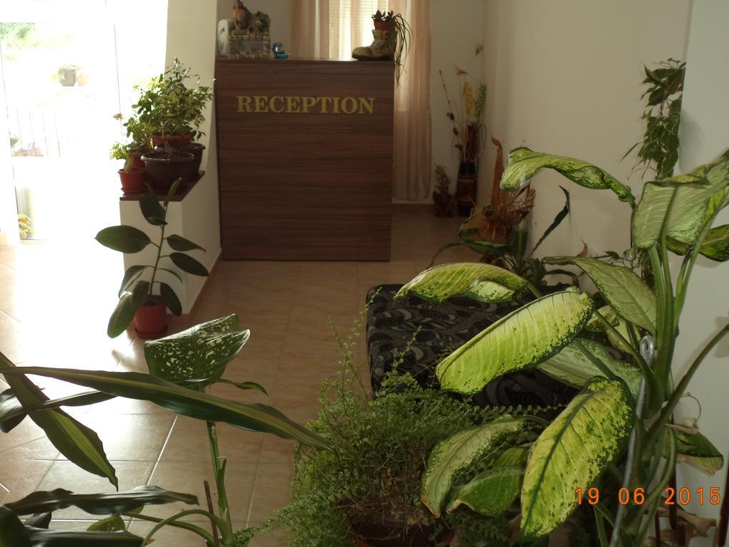 Sveti Georgi Guest House Sozopol Buitenkant foto